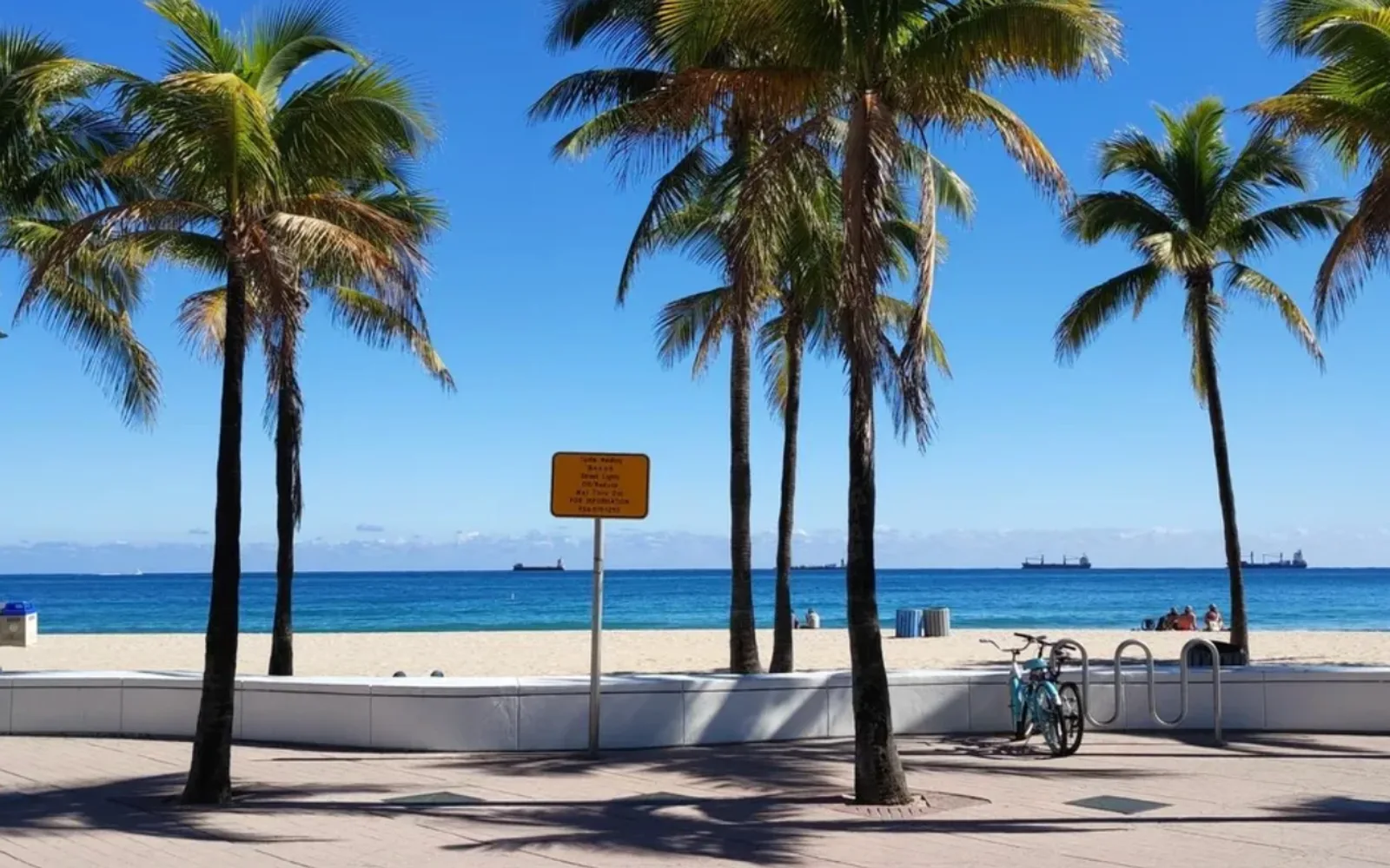Palm trees along a Fort Lauderdale beach boardwalk with the ocean in the background